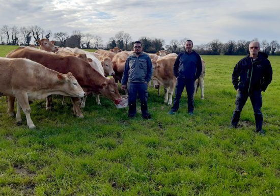 GAEC LES AIGREFEUILLES