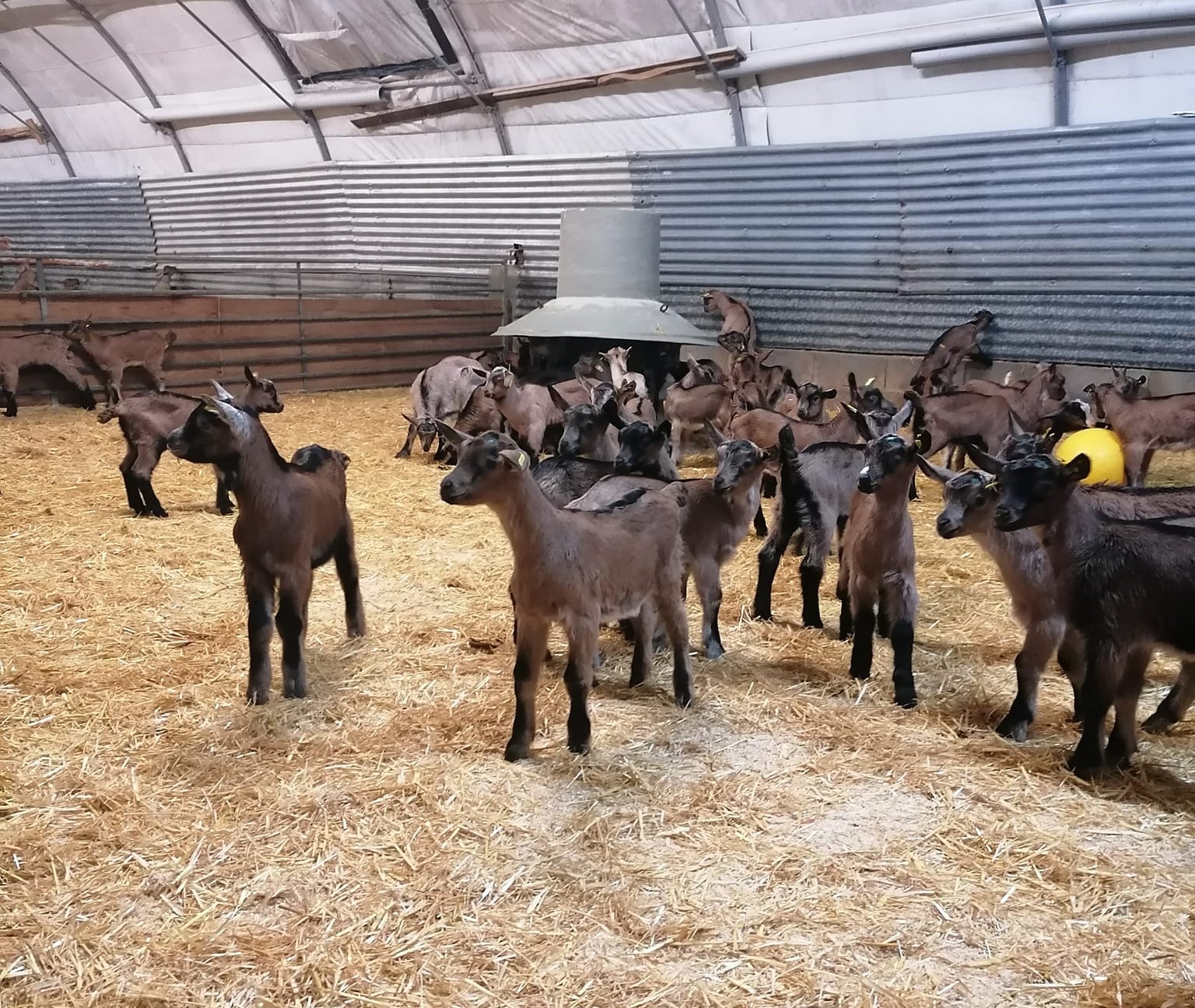 Visites producteurs – Fromagerie Pierrette