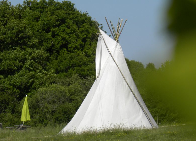 AM RAND DER EICHEN – TIPI ASHUKAN