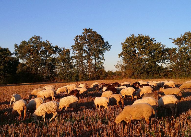 LA FERME DE LA CHANCELIERE