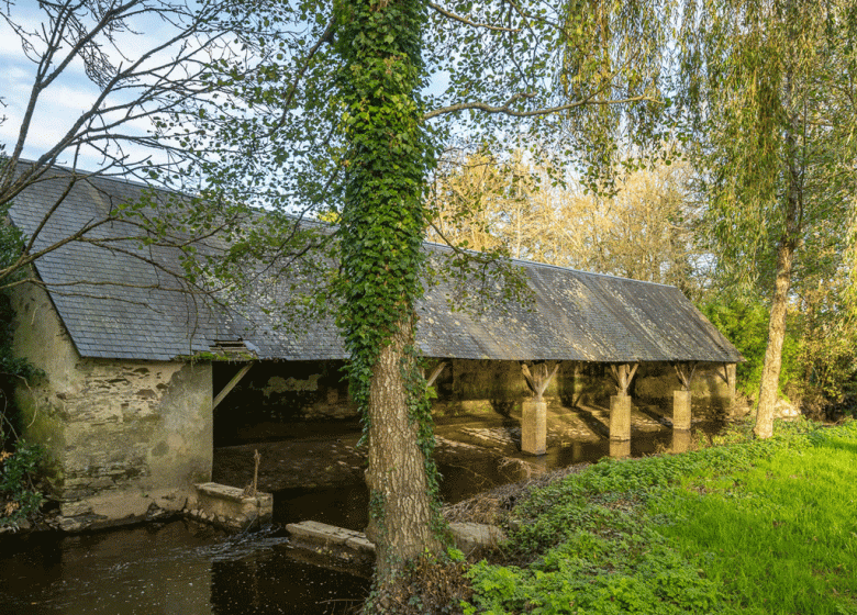 LAVOIR DES ESSAIS