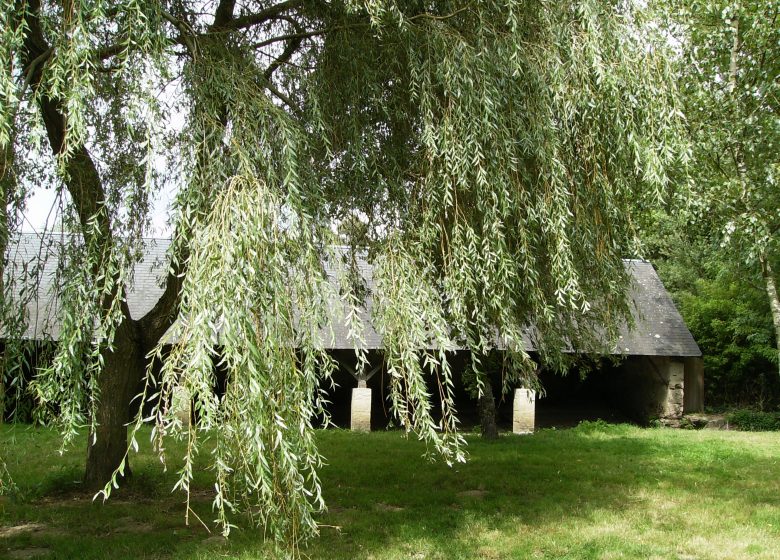 LAVOIR