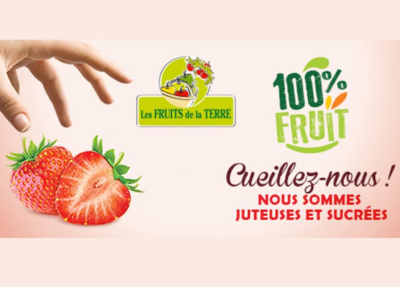 LES FRUITS DE LA TERRE