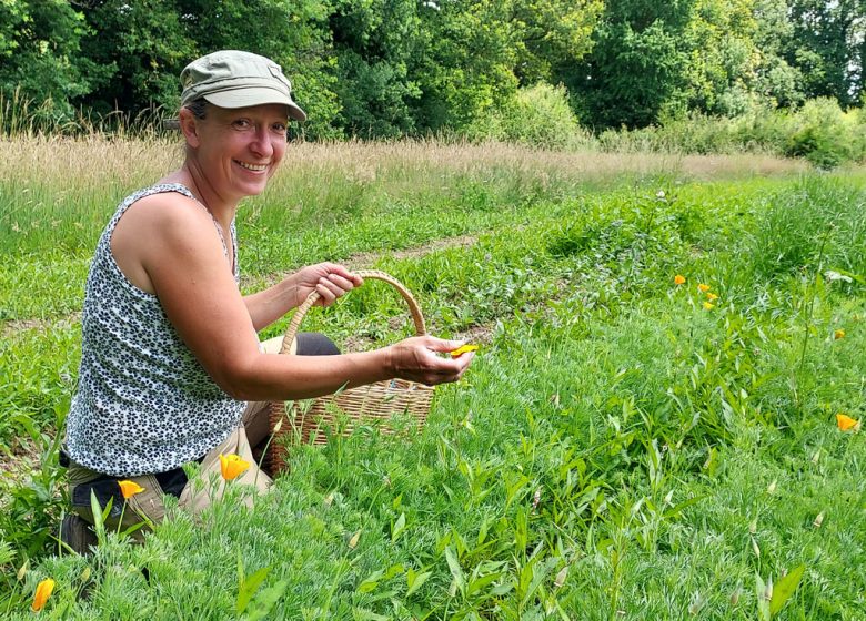 LES HERBES RIANTES