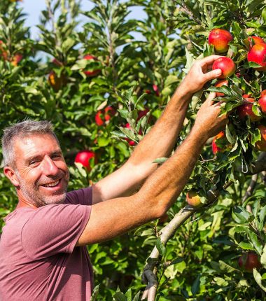 LES VERGERS DE LA MALVERGNE