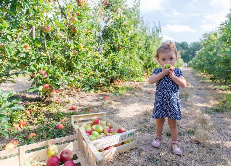 MALVERGNE ORCHARDS