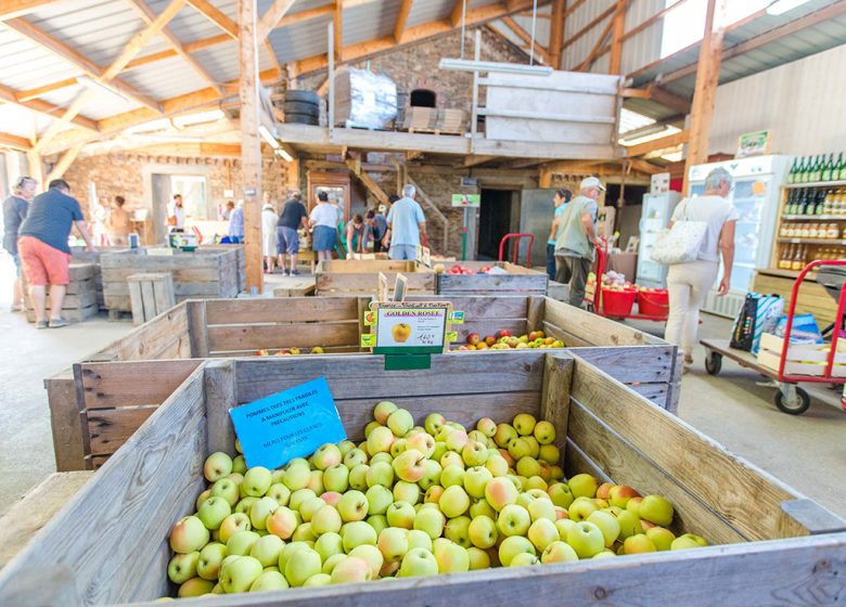 MALVERGNE ORCHARDS