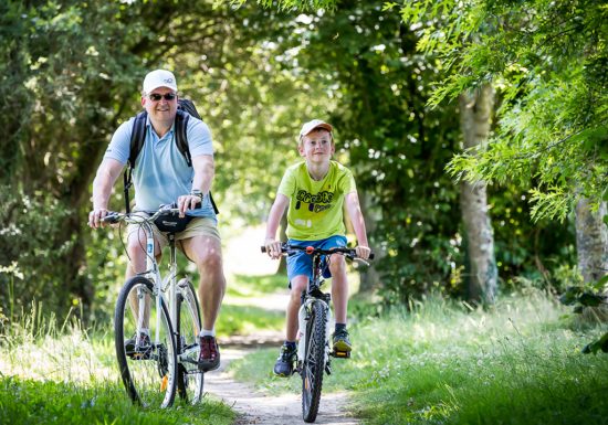 Location de vélos – Camping Le Pin Parasol