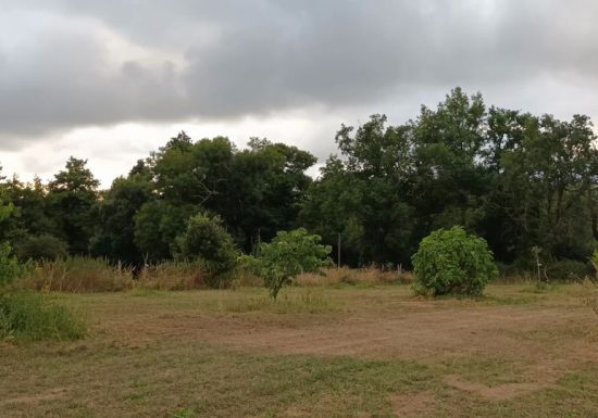 Lodge tipi bois camping à la ferme