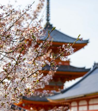 La Médiathèque en fête