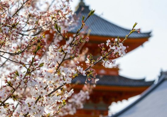 La Médiathèque en fête