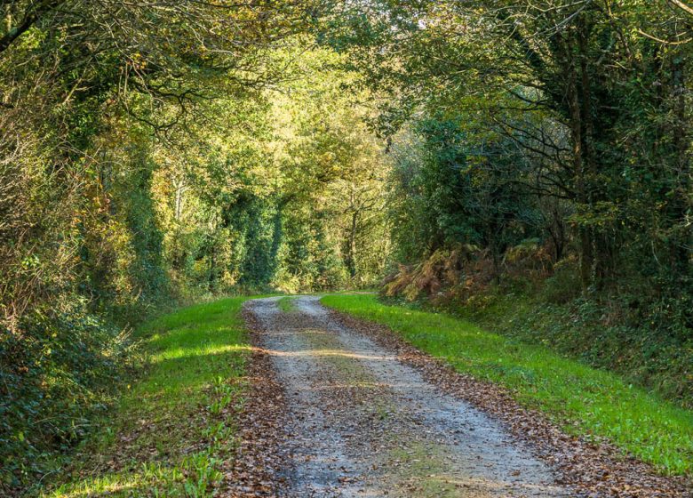 PARCOURS GEOCACHING DES LOUPS