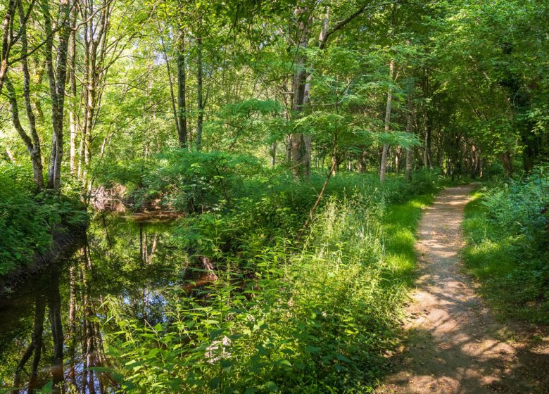 GEOCACHING ROUTES VAN NESTBOXEN