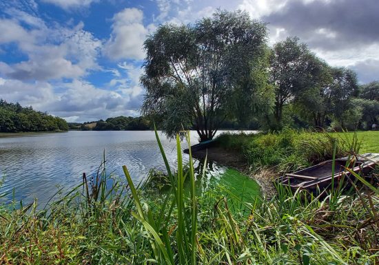 GELE CURSUS GEOCACH – LAC DU JAUNAY