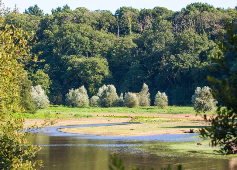 PARCOURS JAUNE GEOCACHING – LAC DU JAUNAY