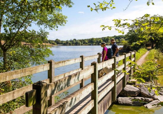 GRÜNER GEOCACHING-KURS – LAC DU JAUNAY