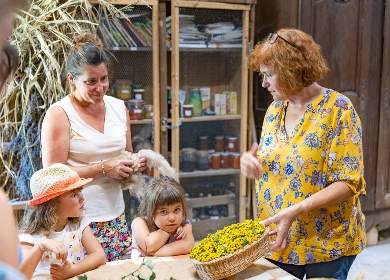 Les Estiv’Arts – Atelier autour de la laine