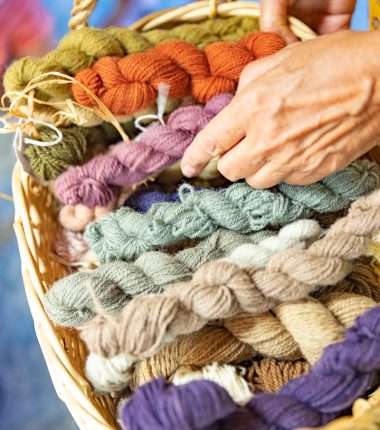 Atelier teinture végétale