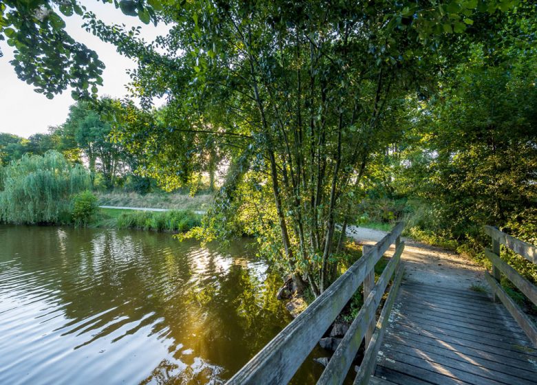 PICNIC AREA OF THE GARNES BODY OF WATER