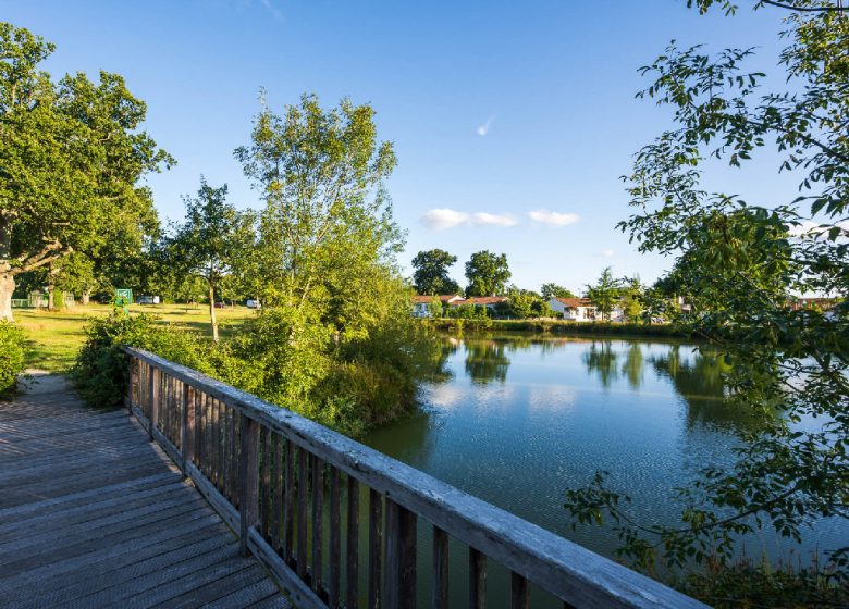 PICNIC AREA OF LA CHÊNAIE PARK