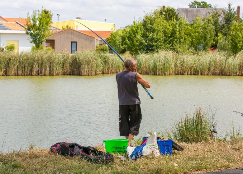 BODY OF WATER IN SAINTE FLAIVE DES LOUPS