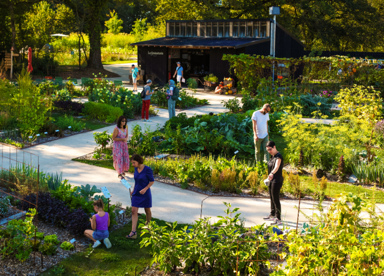 DER AUSSERGEWÖHNLICHE GARTEN