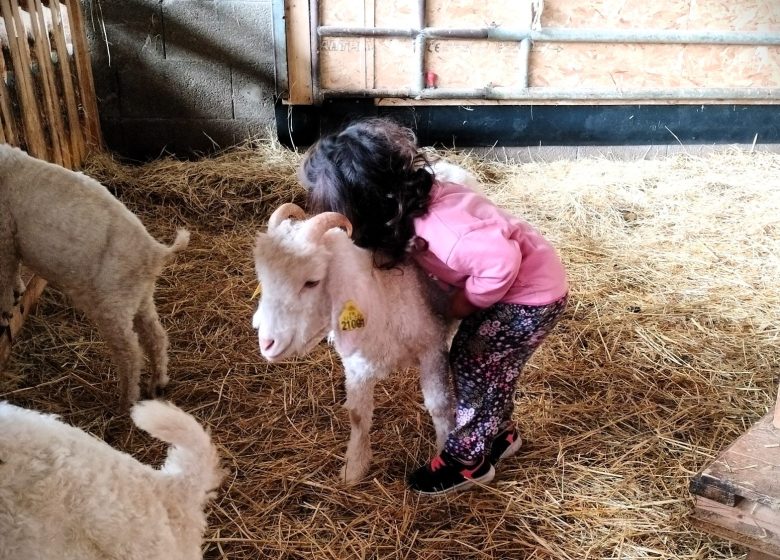 MOHAIR VAN DE VIER SEIZOENEN