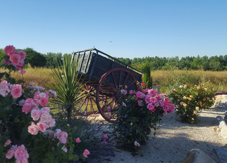 IL PIANOFORTE CON CINGHIE