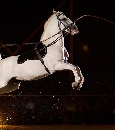 Les Écuries d’Artpaillange