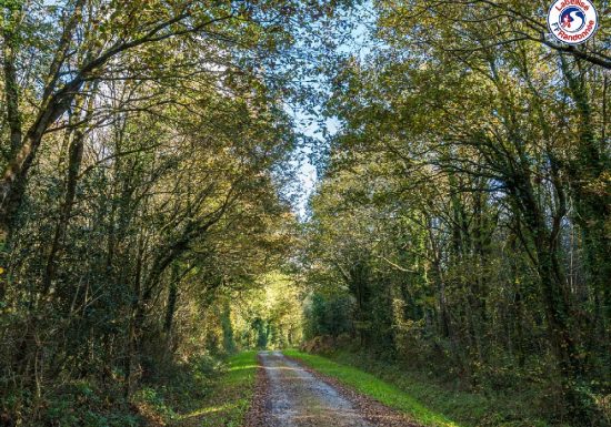 SENTIER DU BEIGNON