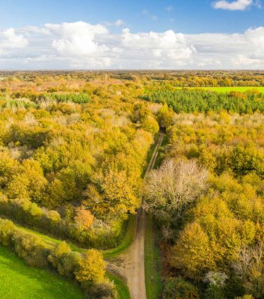 Sentier de la Forêt de la Lière
