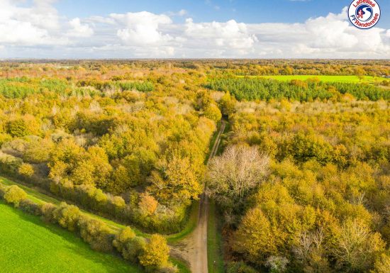 SENTIERO DEL BOSCO DELLA LIÈRE