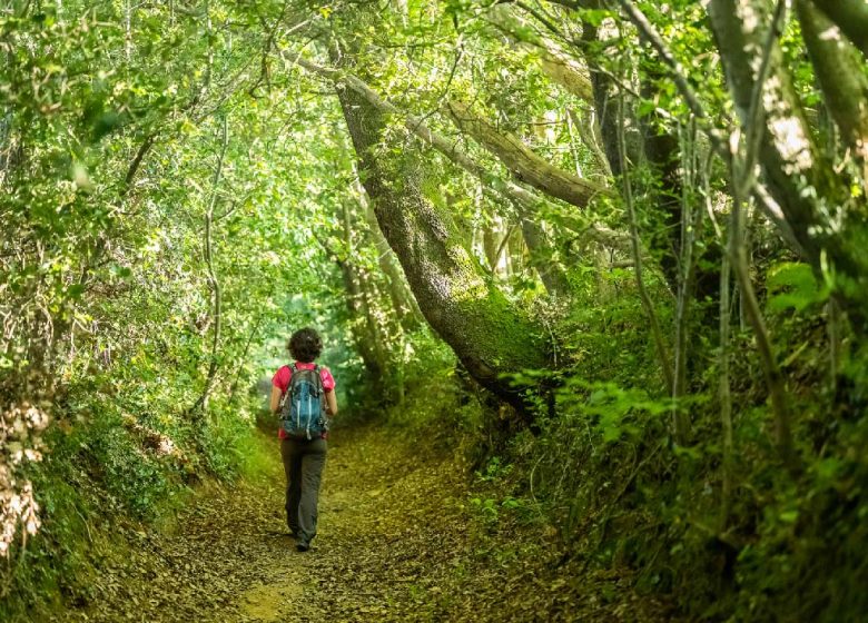 COUDRAY TRAIL