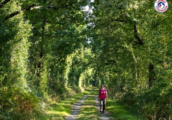 SENTIER DES CHÊNES LIÈGES