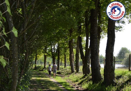 NIEUWE HOUTEN TRAIL