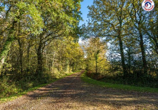 HELL'S STAP TRAIL