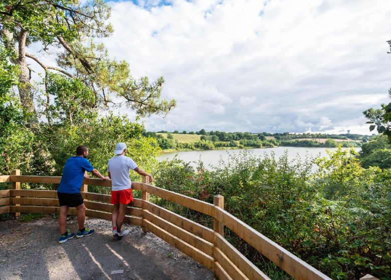 TRAIL TUSSEN BANKEN EN HOOGTEN