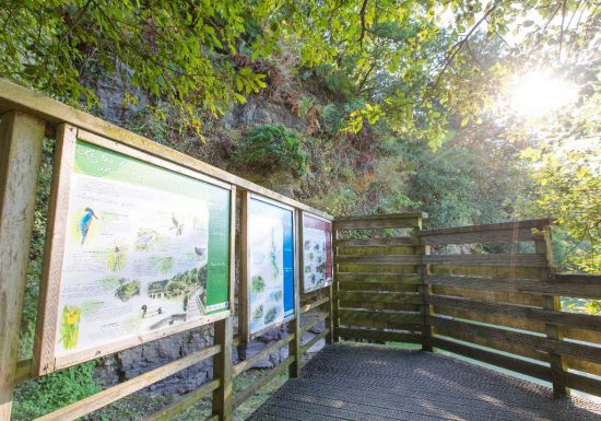 Sentier des Côteaux du Lac