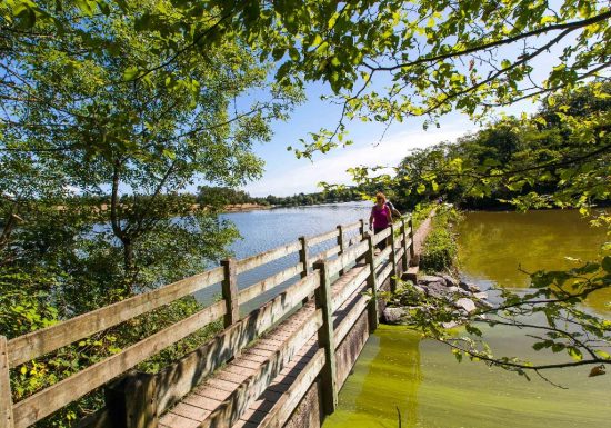 Sentier de la Guyonnière