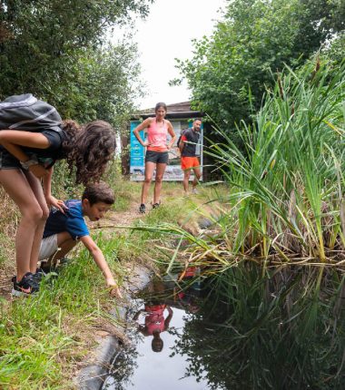 Sentier entre Mares et Haies