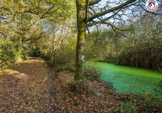 SENTIER DES MARES