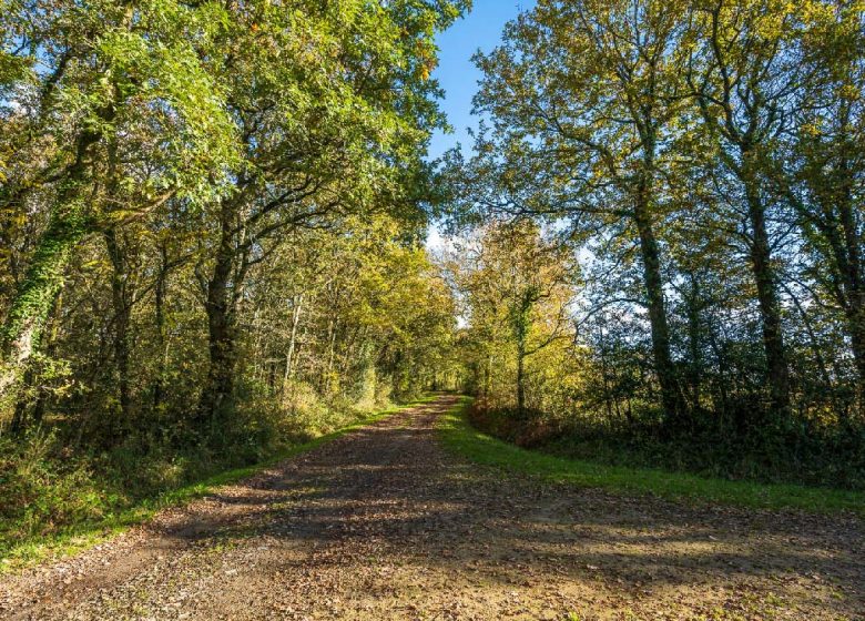 POOL TRAIL