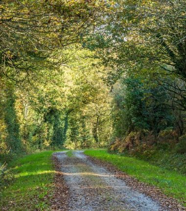 Sentier de l’Ormeau