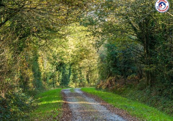 SENTIER DE L’ORMEAU