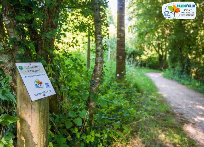 VOGELHUIZEN TRAIL