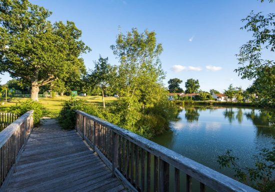 Circuit des Loups n°6