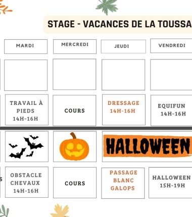 Vacances de la Toussaint au Domaine de la Thibaudière