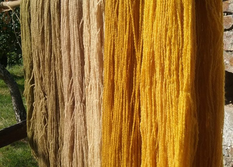 Atelier teinture végétale