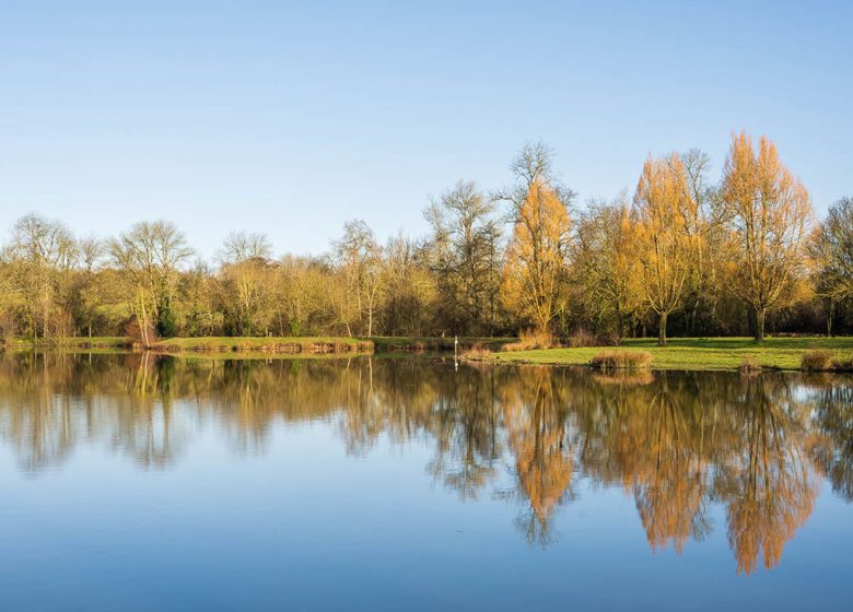 OUCHES DU JAUNAY CORPO D'ACQUA